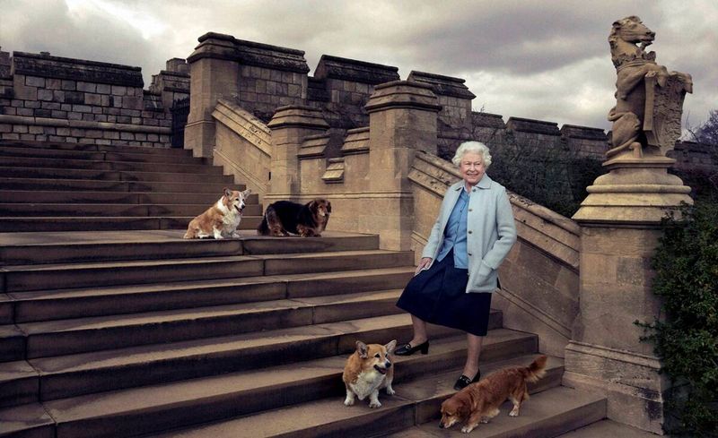 Rainha Elizabeth, Palácio de Buckingham, Castelo Rainha Elizabeth Windson, Indian Express