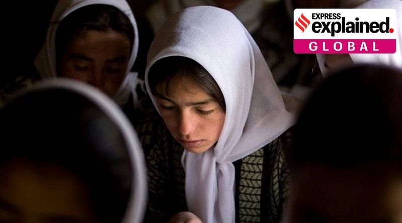 lei da sharia, lei da sharia no afeganistão, lei da sharia do Talibã, o que é lei da sharia no afeganistão, o que é lei da sharia, regras da lei da sharia, explicação da lei da sharia, detalhes da lei da sharia, lei da sharia no Afeganistão, lei da sharia no Afeganistão, notícias do Talibã afegão