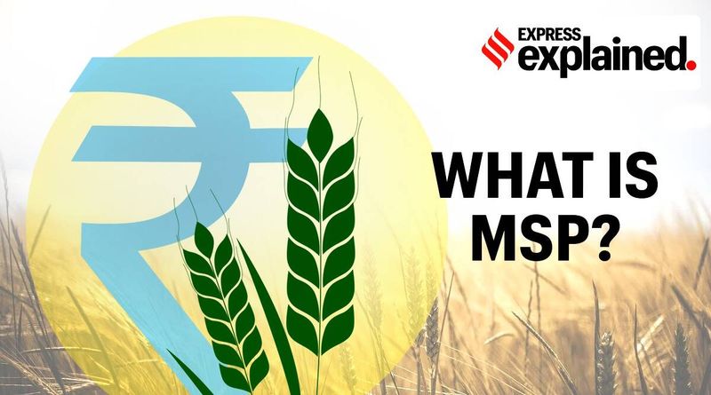Preço mínimo de suporte, MSP, MSP explicado, O que é MSP, Farm Bills MSP, Farm Bills 2020, MSP para agricultores, Indian Express