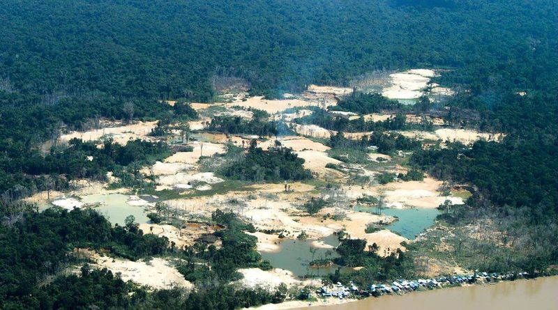 Blood Gold, O que é Blood Gold, povo Yanomami, Yanomami apelo à Índia no Blood Gold, Yanomami Blood Gold, Indian Express