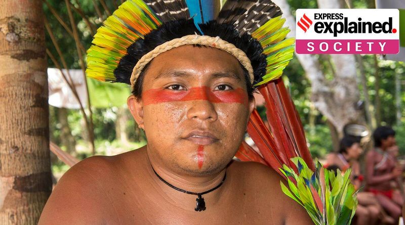 Blood Gold, O que é Blood Gold, povo Yanomami, Yanomami apelo à Índia no Blood Gold, Yanomami Blood Gold, Indian Express