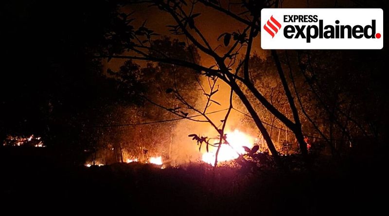 Incêndio na floresta Simlipal, Incêndio Simlipal, Floresta Simlipal, Causa do incêndio Simlipal, Notícias sobre o incêndio Simlipal, Indian Express