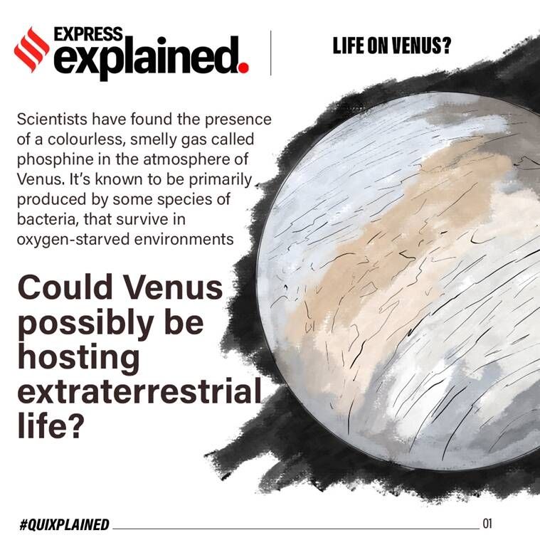 vênus, vida em Vênus, gás fosfina Vênus, notícias sobre Vênus, formas de vida em Vênus, Vênus vida extra terrestre, expresso indiano