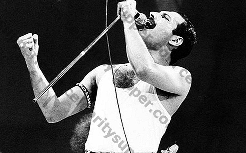 Freddie Mercury Networth