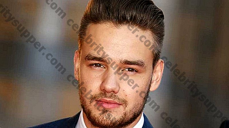 Liam Payne Networth