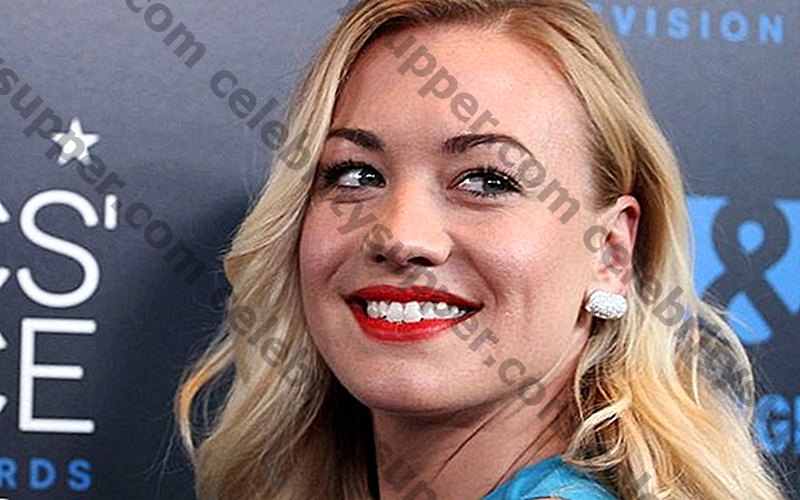 Yvonne Strahovski Networth