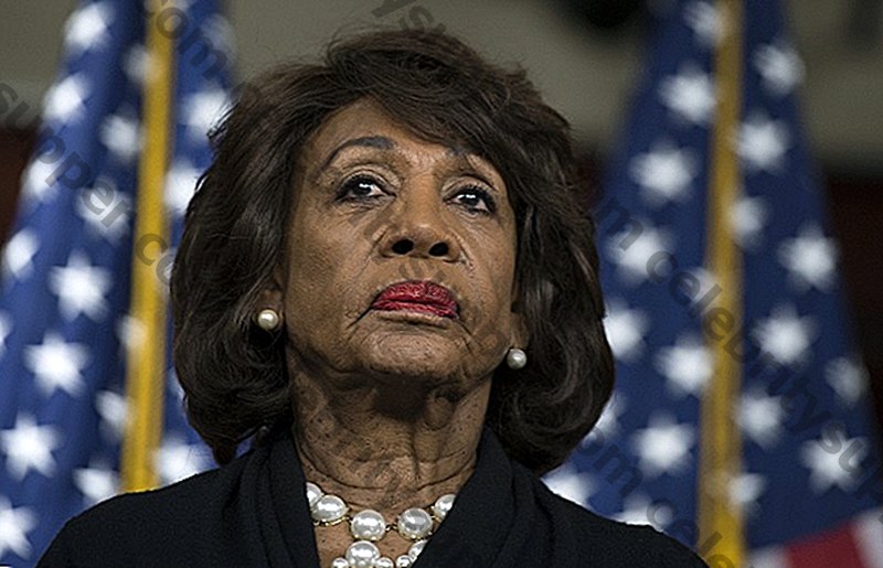 Maxine Waters Networth