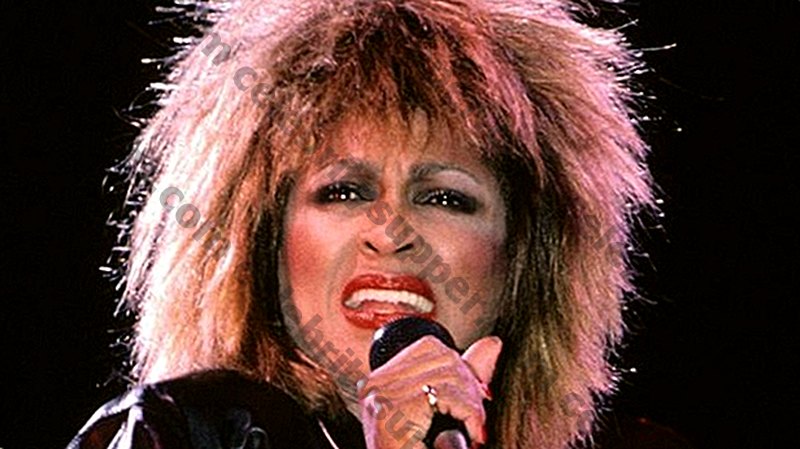 Tina Turner Networth