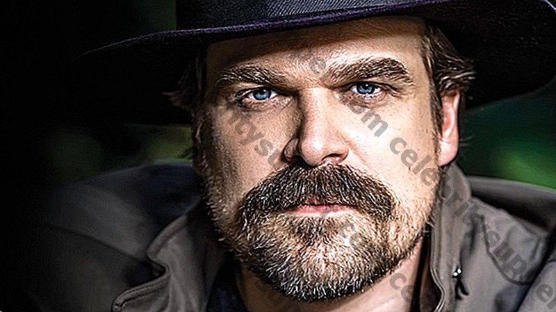 David Harbour Networth