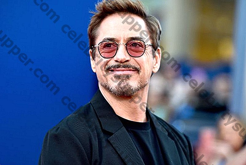 Robert Downey Jr. Networth