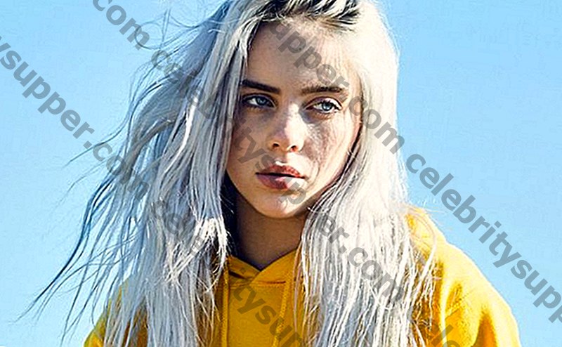 Billie Eilish Networth