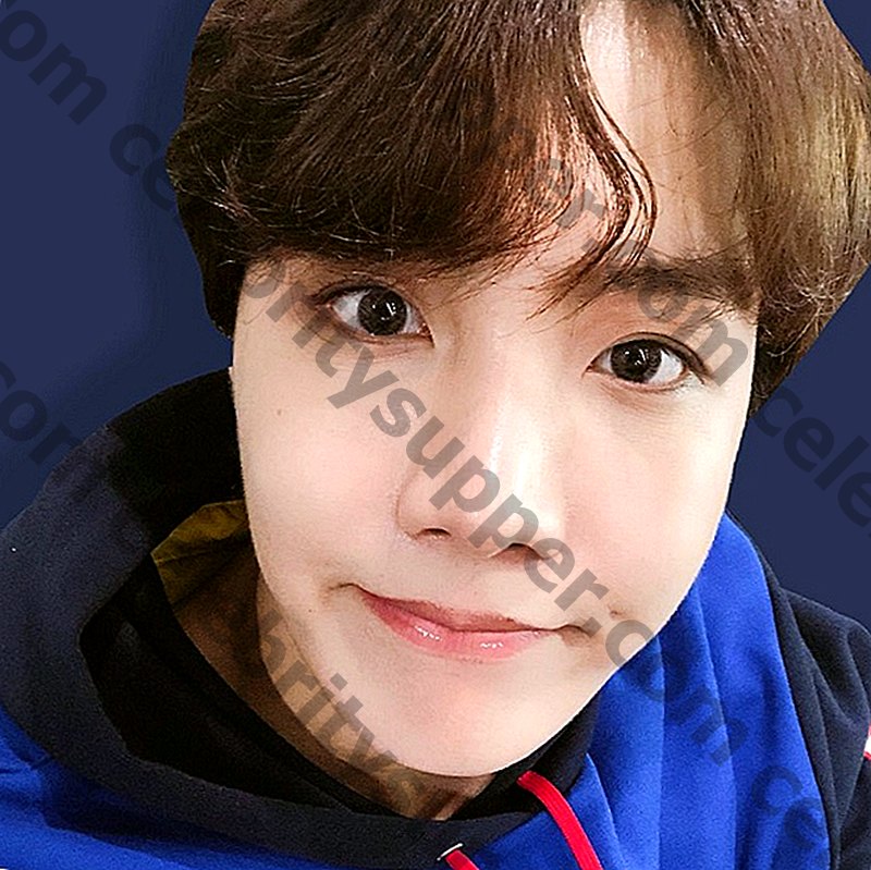 J-Hope Networth