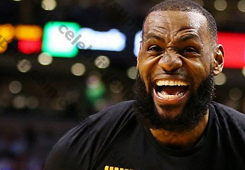 LeBron James Networth