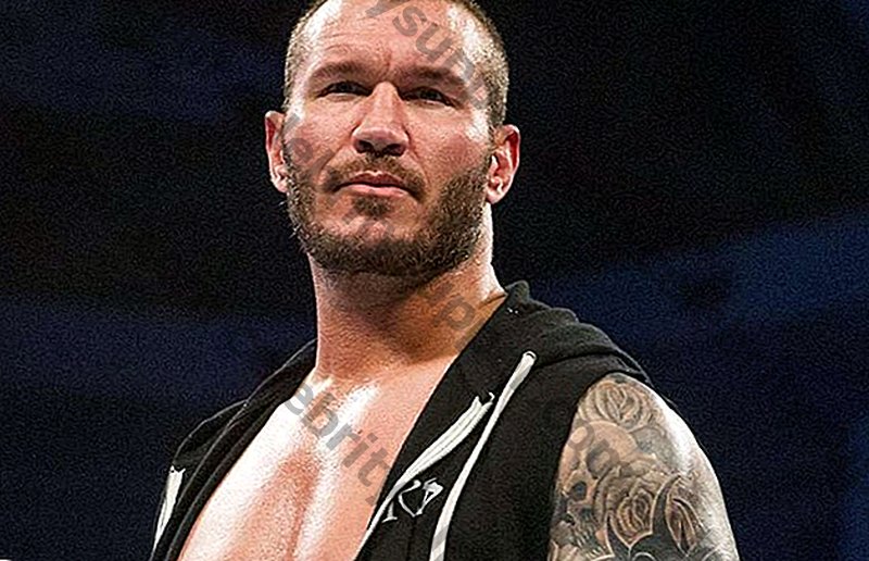 Randy Orton Networth