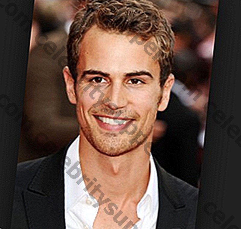 Theo James Networth