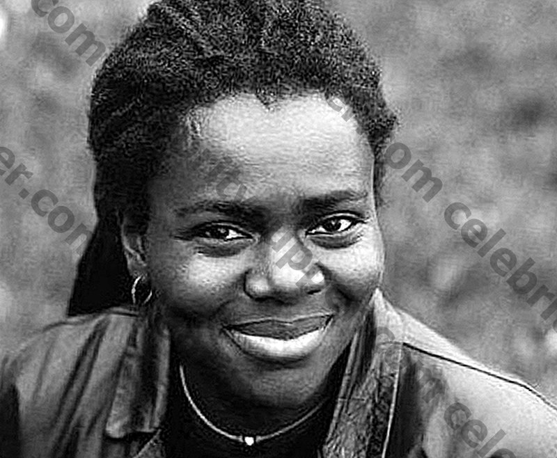 Tracy Chapman Networth