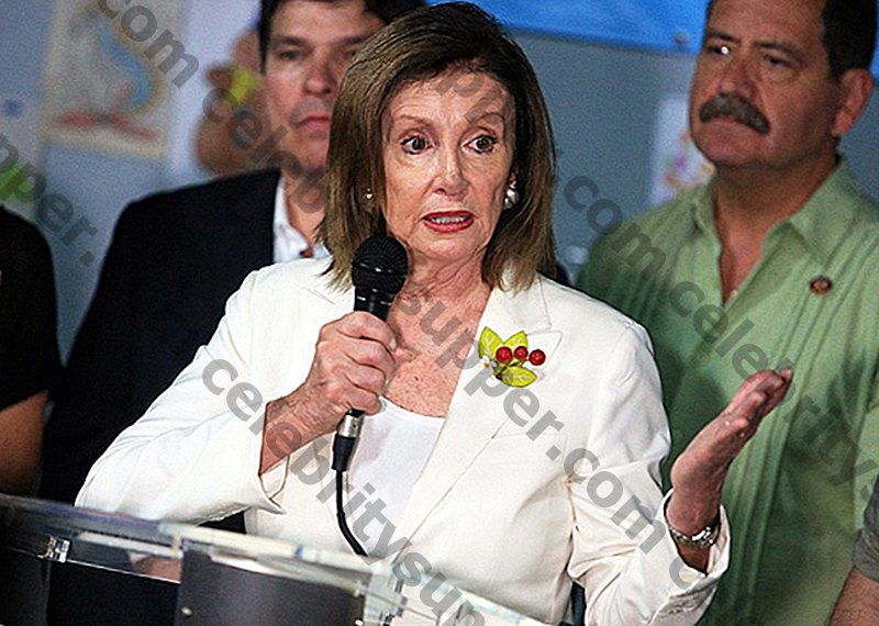 Nancy Pelosi Networth
