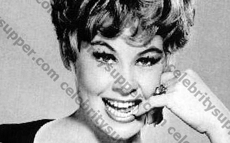 Sue Ane Langdon Networth