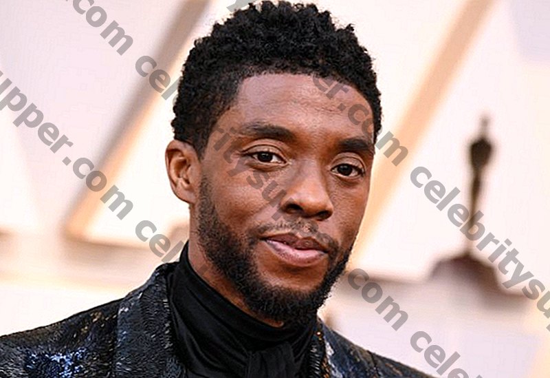 Chadwick Boseman Networth