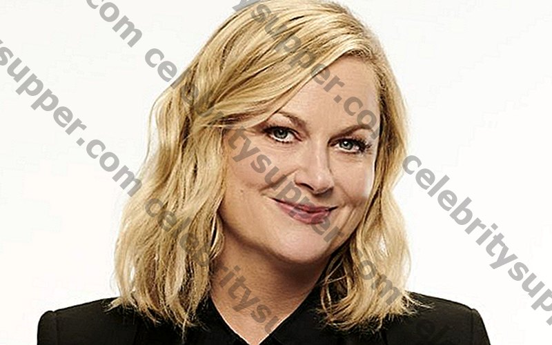 Amy Poehler Networth