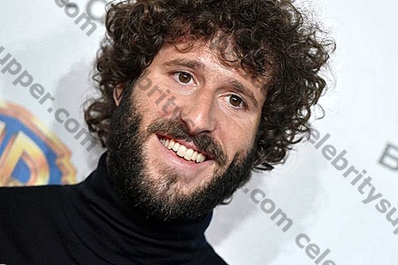 Lil Dicky Networth