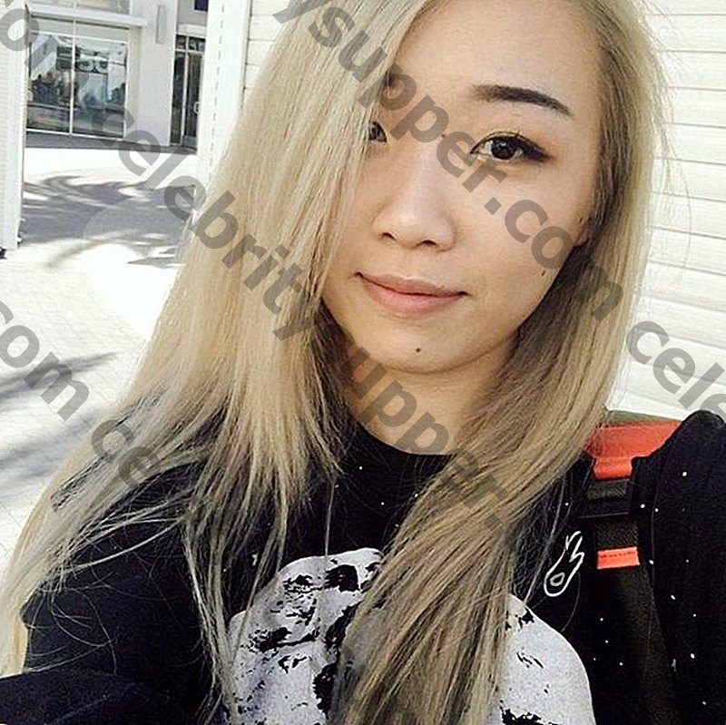 Lisha Wei Networth