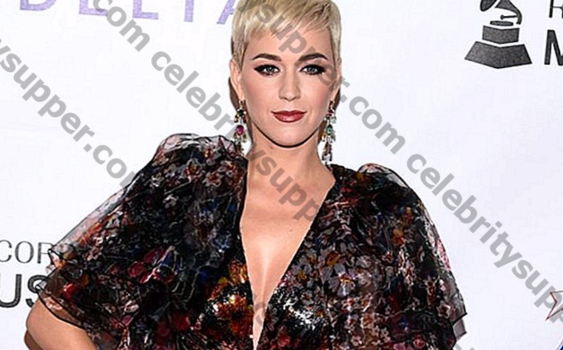 Katy Perry Networth