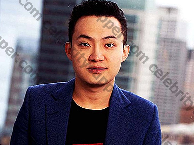Fortuna de Justin Sun.