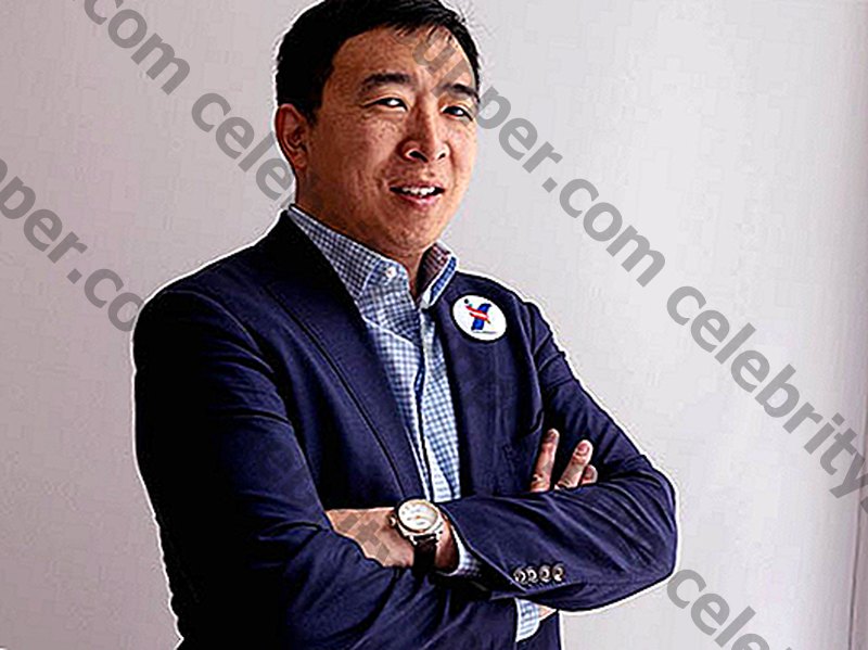 Fortuna de Andrew Yang.