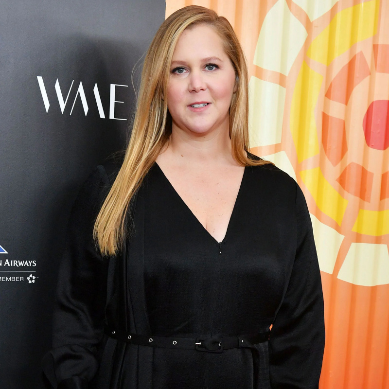 Tudo o que Amy Schumer disse sobre sua decisão de fazer lipoaspiração após o parto