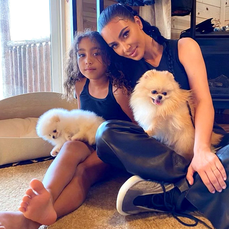 Cachorros preciosos! Veja crianças Kardashian-Jenner' Snuggling Their Sweetest Pets