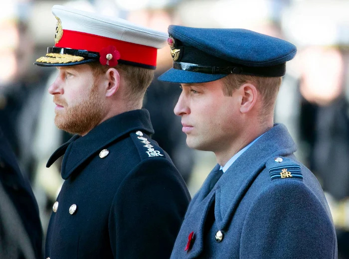   Príncipe Harry afirma que príncipe William zombou de sua ansiedade durante evento real