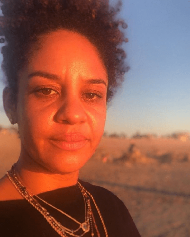 O divórcio de Jesse Williams e Aryn Drake-Lee: tudo para saber sobre sua batalha de separação e custódia