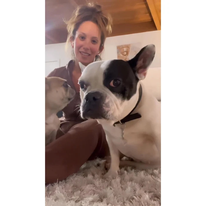 Cheryl Burke brinca com seus 2 cachorros em meio ao drama de custódia de animais de estimação com o ex Matthew Lawrence