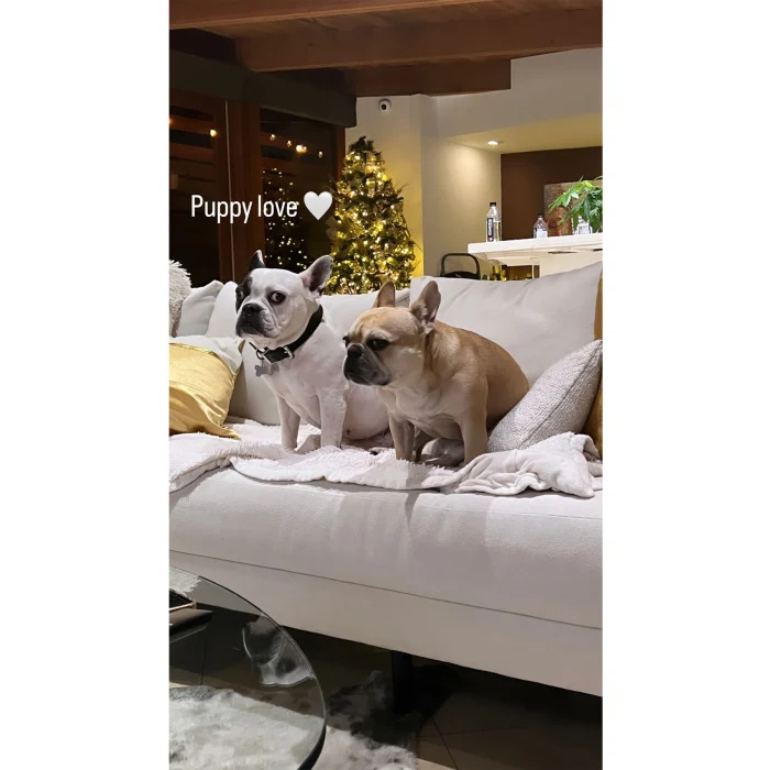 Cheryl Burke brinca com seus 2 cachorros em meio ao drama de custódia de animais de estimação com o ex Matthew Lawrence 3