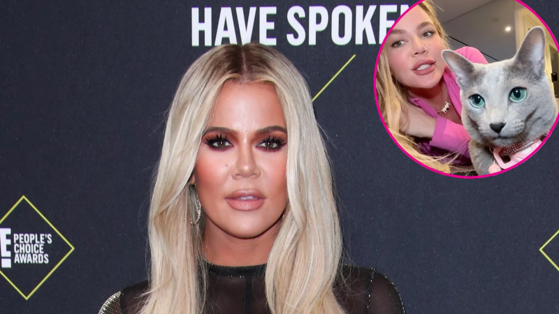   Khloe Kardashian rebate comentário de fã afirmando que ela vai doar seu gato