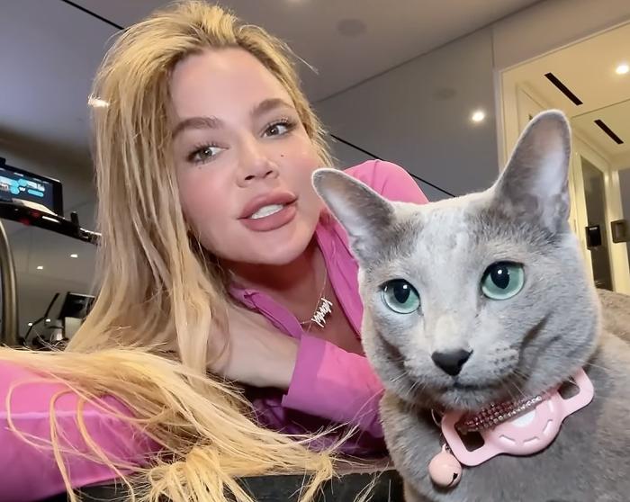   Khloe Kardashian rebate comentário de fã afirmando que ela vai doar seu gato