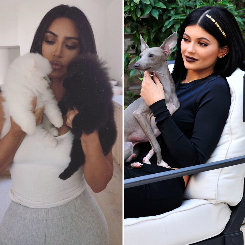   Kardashian-Jenner-cães