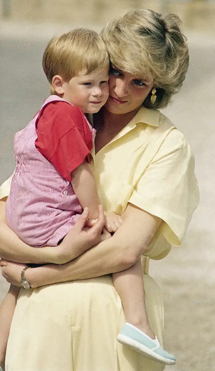   Príncipe Harry gostaria que Archie e Lili pudessem ter conhecido a falecida princesa Diana