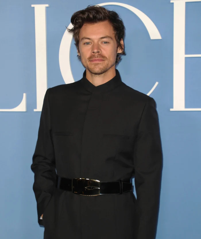   Arry Styles celebra as férias com sua mãe e irmã depois que Olivia Wilde dividiu o cinto grande