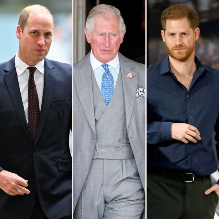   O príncipe William e o príncipe Harry pediram ao rei Charles III que não se casasse com a rainha consorte Camilla depois da princesa Diana's Death: Details blue tie