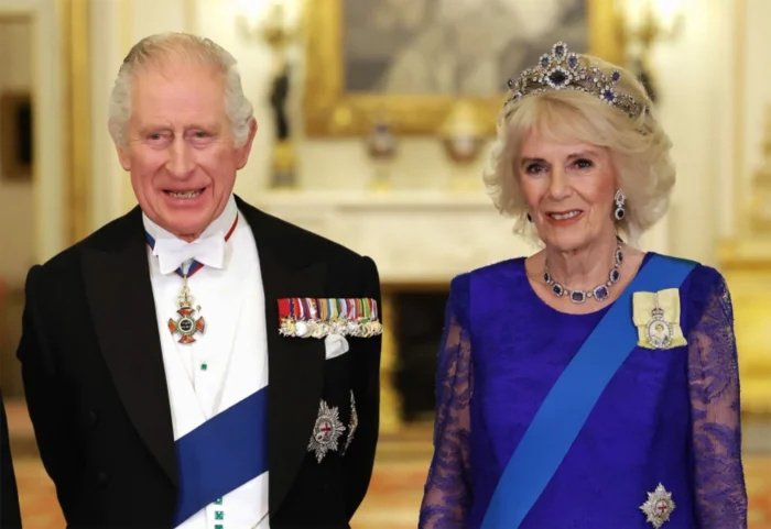   O príncipe William e o príncipe Harry pediram ao rei Charles III que não se casasse com a rainha consorte Camilla depois da princesa Diana's Death: Details royal blue dress