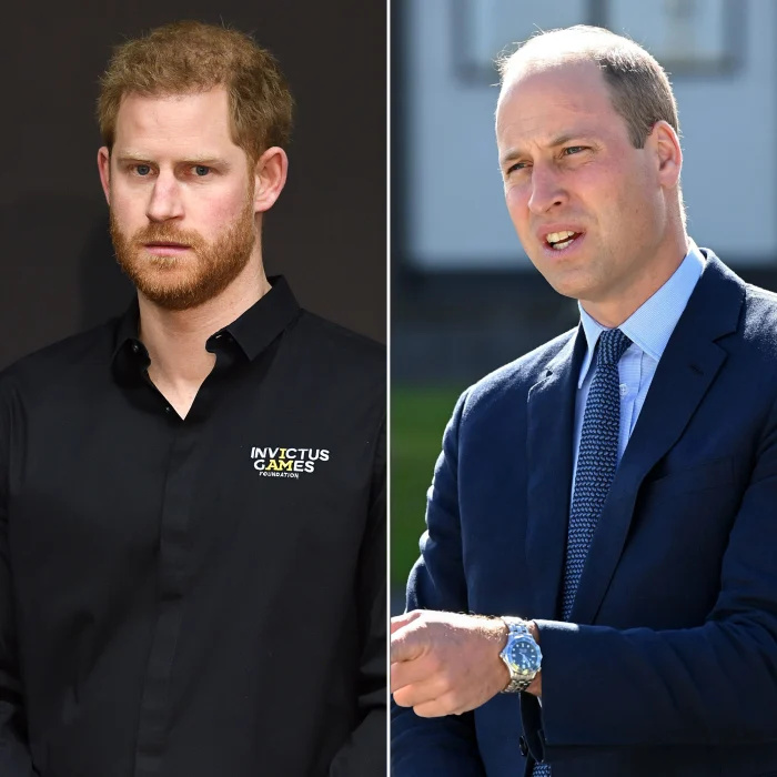   Príncipe Harry viu 'névoa vermelha' no príncipe William após briga física:'Wanted Me to Hit Him Back'