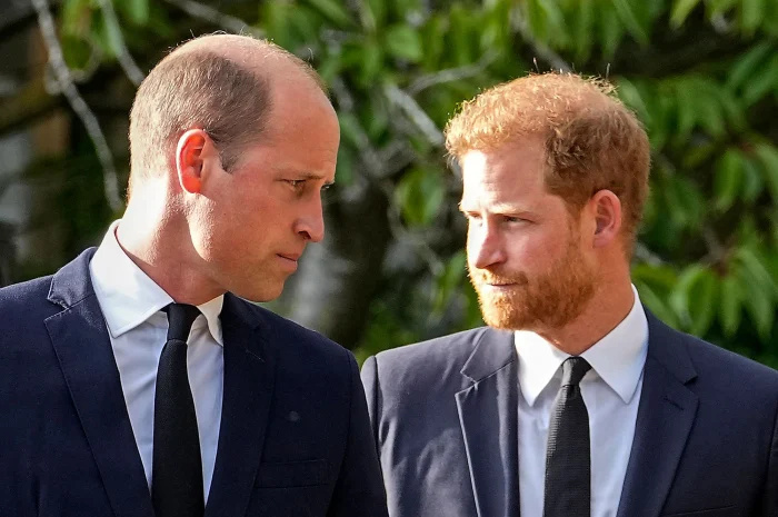   O príncipe Harry se refere ao príncipe William como seu 'Arquimese' em 'Spare' Memoir, diz que os irmãos tiveram um 'milhão de brigas físicas em nossas vidas'