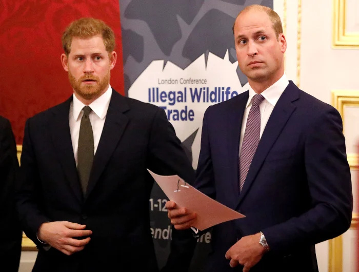 'CNN' Anchor Don Lemon Doesn't 'Understand' Why Prince Harry Discussed Alleged Prince William Fight in 'Spare'
