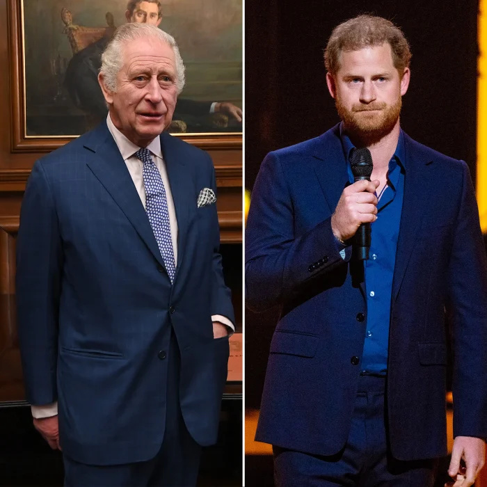   O rei Charles está preocupado que o médico do príncipe Harry cause 'danos irreparáveis'