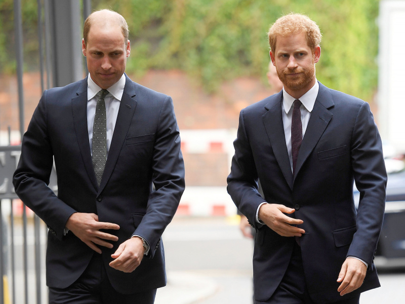 O relacionamento do príncipe William e do príncipe Harry ainda é 'dicey', diz especialista real depois que os irmãos United cumprimentam os enlutados