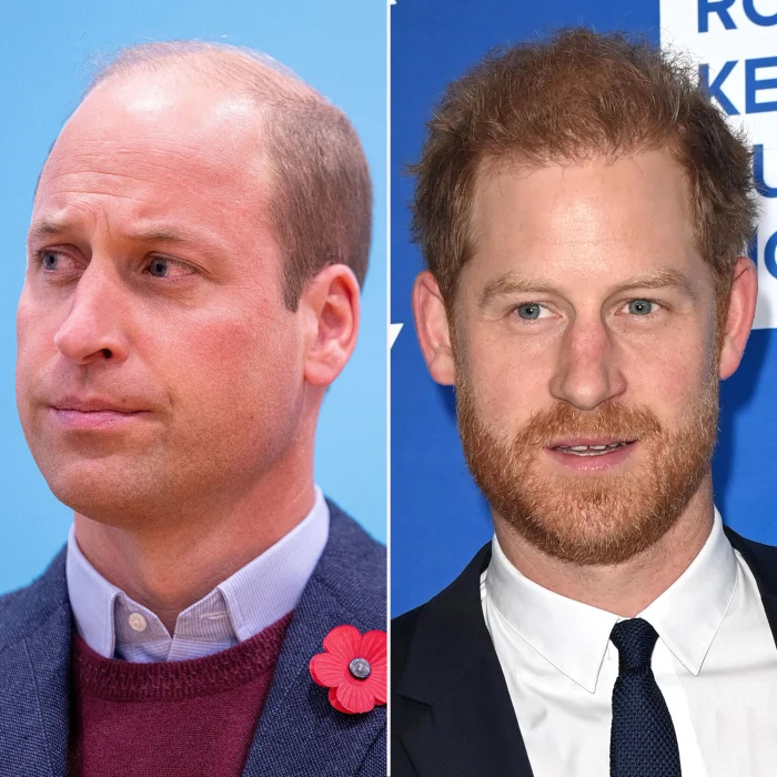 Príncipe William's 'Conflict' With Prince Harry Has Heightened After Netflix's 'Harry & Meghan' Exposes 'Dirty Laundry' red flower