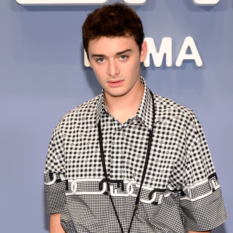  Coisas estranhas' Noah Schnapp Has Been Working as a Lifeguard in the Summer