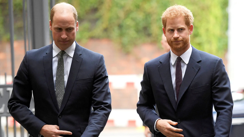   O príncipe Harry se refere ao príncipe William como seu 'Arquimese' em memórias 'Spare', diz que os irmãos tiveram um 'milhão de lutas físicas em nossas vidas'